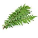 Curry Leaves - Per Bunch