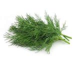 Dill - Per Bunch