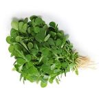 Fenugreek (Methi) - Per Bunch
