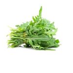 Rocket - Per Packet