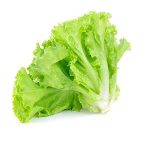 Soft Lettuce - Per Bunch