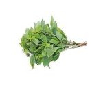Basil - per bunch