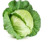 Large Cabbage -  per piece