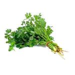 Dhania (Coriander) - per bunch