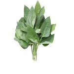 Kunde - per bunch