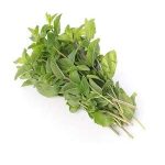 Mint - per bunch