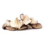 Oyster Mushrooms - per pkt