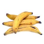 Plantain - per Dozen