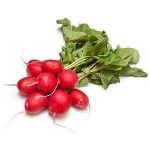 Radish - per bunch