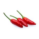 Bullet Chilli - per bunch