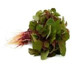 Terere Small Leaves - per bunch