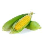 Sweet Corn - pack